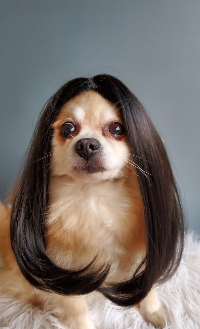 Cute pet wig black color dog or cat/Halloween dog wig/Costume dog wig /Dog costume / Cat costume / image 3