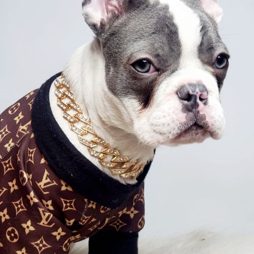 Supper Cute Dog Neck Chain Gold Color/ Jewelry for Pet Etsy