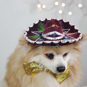 Set listing Cute sombrero hat  and  bow tie for dog or cat