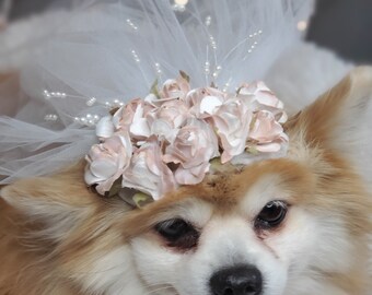 Veil for Pet/ Cute Bridal Veil With White Flowers for Dog and Cat