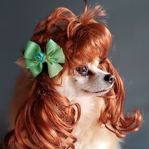 Pet   wig   for dog or cat with cute bow green color/Dog costume/Cat costume/