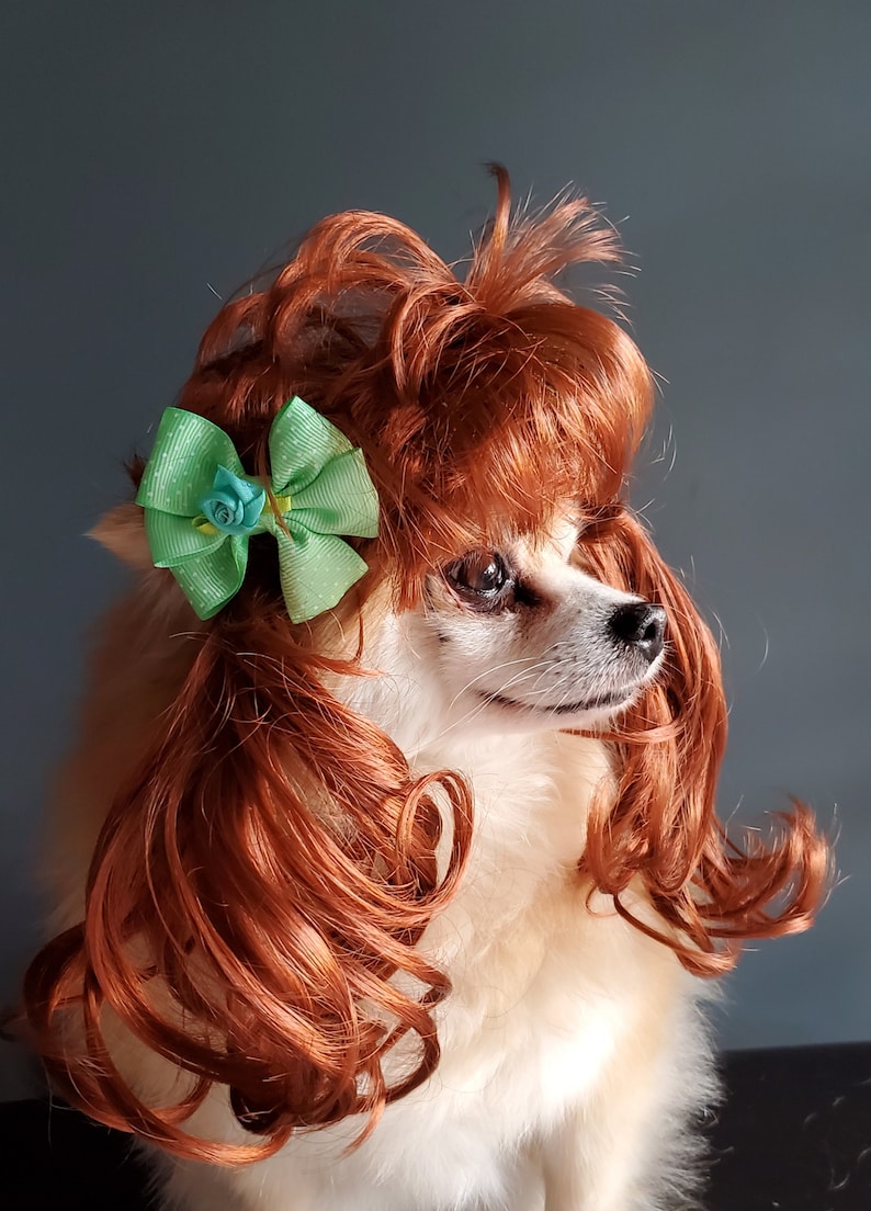 Pet Wig for Dog or Cat With Cute Bow Green Color Etsy