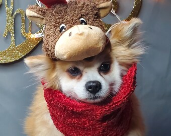 Rentier Ohren Mütze für Hund oder Katze zu Weihnachten / Weihnachtsgeschenk für Hund