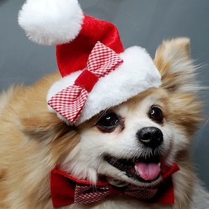 Set bow and hat Christmas  Santa  hat for dog or cat/ Holliday dog gift /Gift for dog /