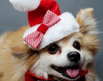 Set bow and hat Christmas  santa  hat for dog or cat/ Holliday dog gift /