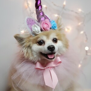 May include: A small white dog wearing a pink tulle tutu and a unicorn headband with purple, pink, and blue flowers. The dog is smiling and looking at the camera.