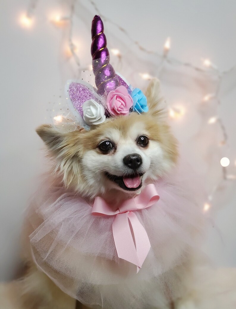 May include: A small white dog wearing a pink tulle tutu and a unicorn headband with purple, pink, and blue flowers. The dog is smiling and looking at the camera.