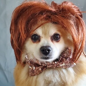 Cute pet wig for dog or cat /Halloween dog wig / Costume cat wig /Dog costume / Cat costume / image 4