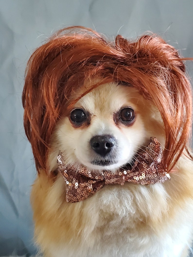 Cute pet wig for dog or cat /Halloween dog wig / Costume cat wig /Dog costume / Cat costume / image 4