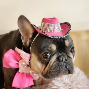 Cowboy-Hut Für Hunde & Katzen – Verstellbar Mit Klett, Größe M (ca. 10 Kg) | In 6 Farben