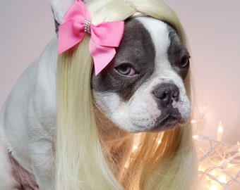 Cute pet   wig /Wig for dog or cat / Halloween dog wig / costume dog wig /Frenchie wig /Dog costume /