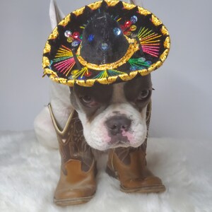 Chapeau sombrero mignon pour chien ou chat /Sombrero de chien dHalloween/ Sombrero de costume pour animaux de compagnie/ image 4