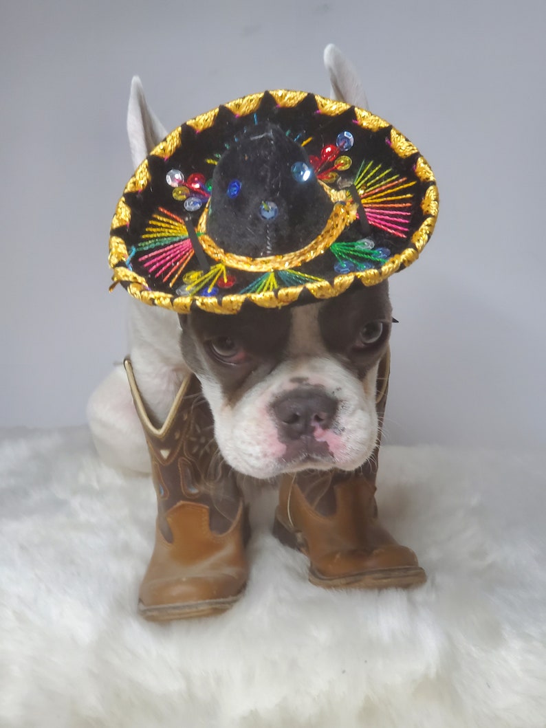 Chapeau sombrero mignon pour chien ou chat /Sombrero de chien dHalloween/ Sombrero de costume pour animaux de compagnie/ image 4