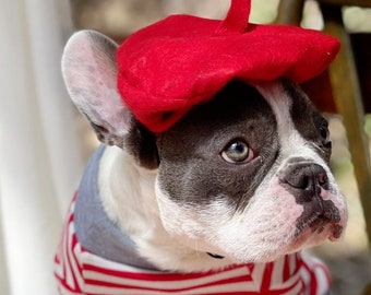 Beret  hat red color  for dog or cat /Hat for dogs/Beret for dogs /