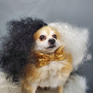 Pet Wig Black and White Color for Dog or Cat /dog Wig/ Halloween Cat ...