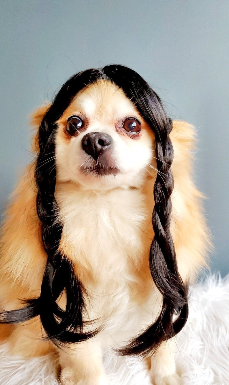 Wednesday wig for dog / Addams Family Cute pet braided wig black color for dog or cat/Halloween costume wig for dogs / image 1