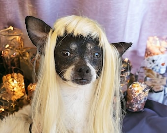 Wig for dogs /Pet   wig blond  color long for dog or cat/Dog costume / Cat costume /