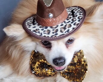 Cowboys  hat   for dog or cat/Halloween costume/Costume for  dogs /