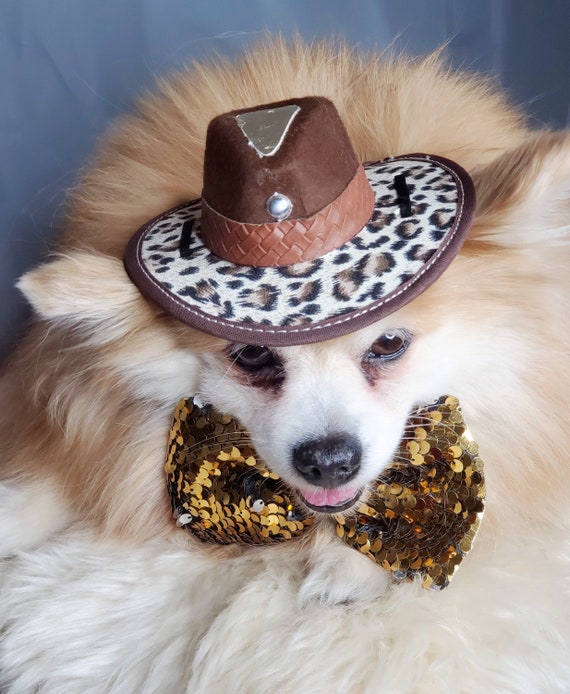 Cowboy-Kostüm Für Hunde & Katzen – Mit Mini-Hut Und Bandana, Größe S, Für Halloween & Mottopartys