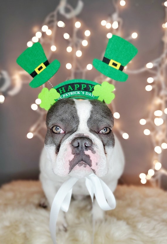 Pet Hat /irish Top Hat for Dogs /felt 
