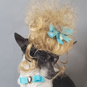 Pet Marie Antoinette blond color wig for dog or cat