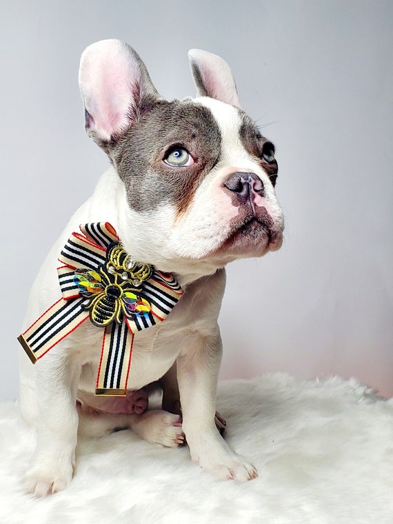 French Bulldog Dog Valentine s Bow Dog Neck Tie Pet Bow Tie