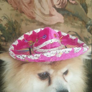 Cute sombrero hat for dog or cat image 3