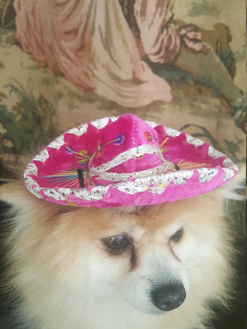 Cute sombrero hat for dog or cat image 3