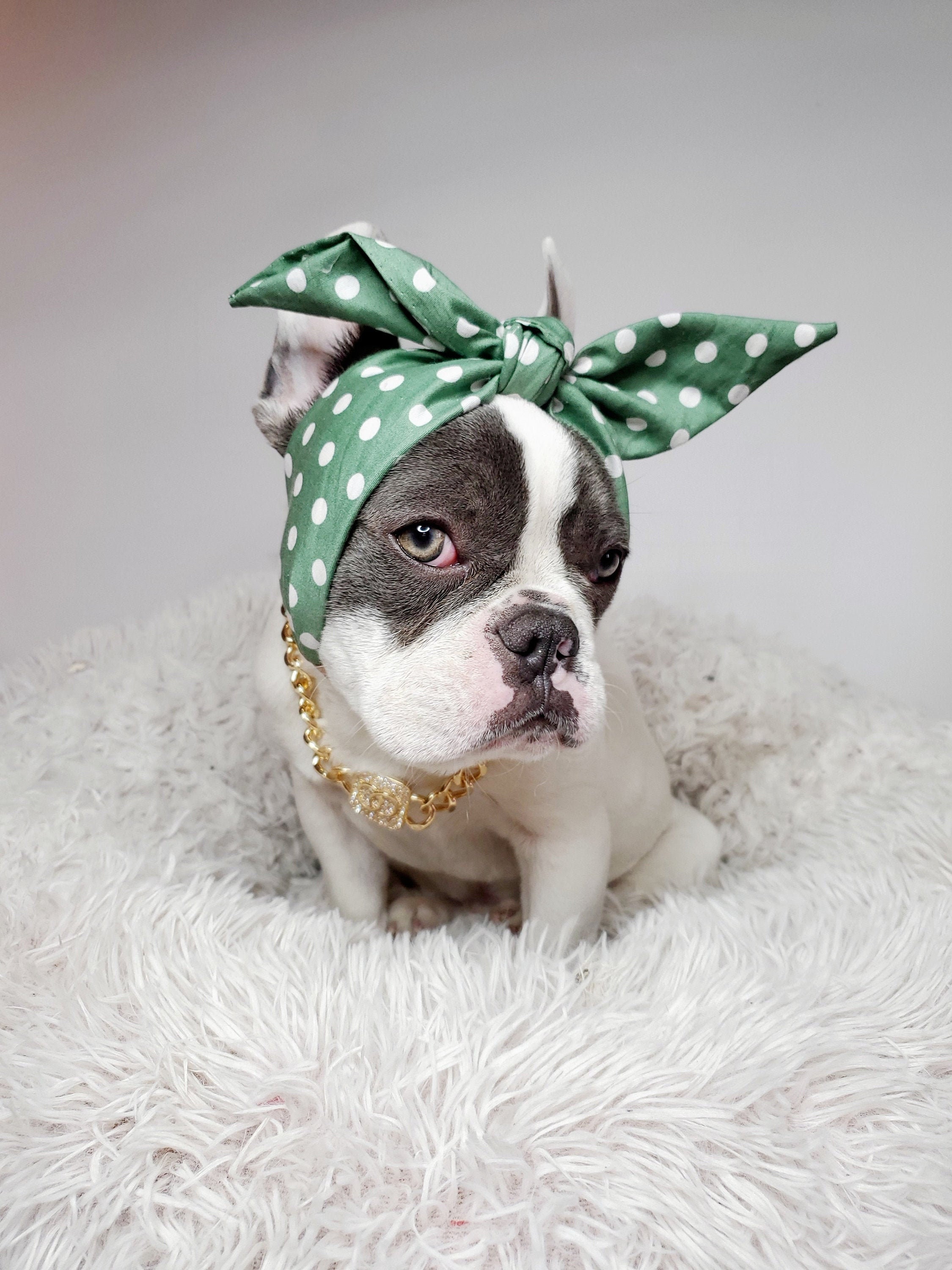 Dog Hair Bands Etsy UK