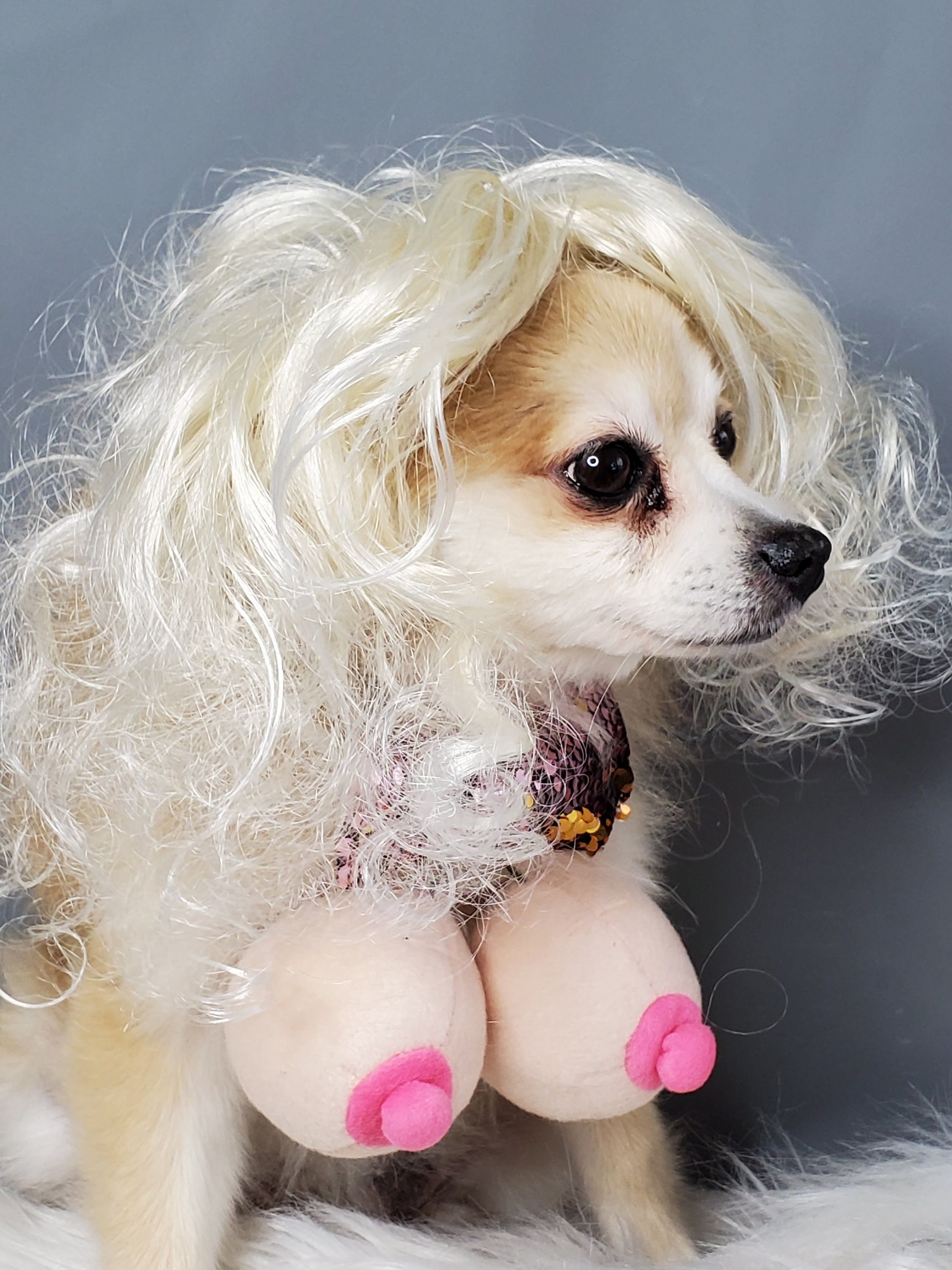 Dog boobs deals