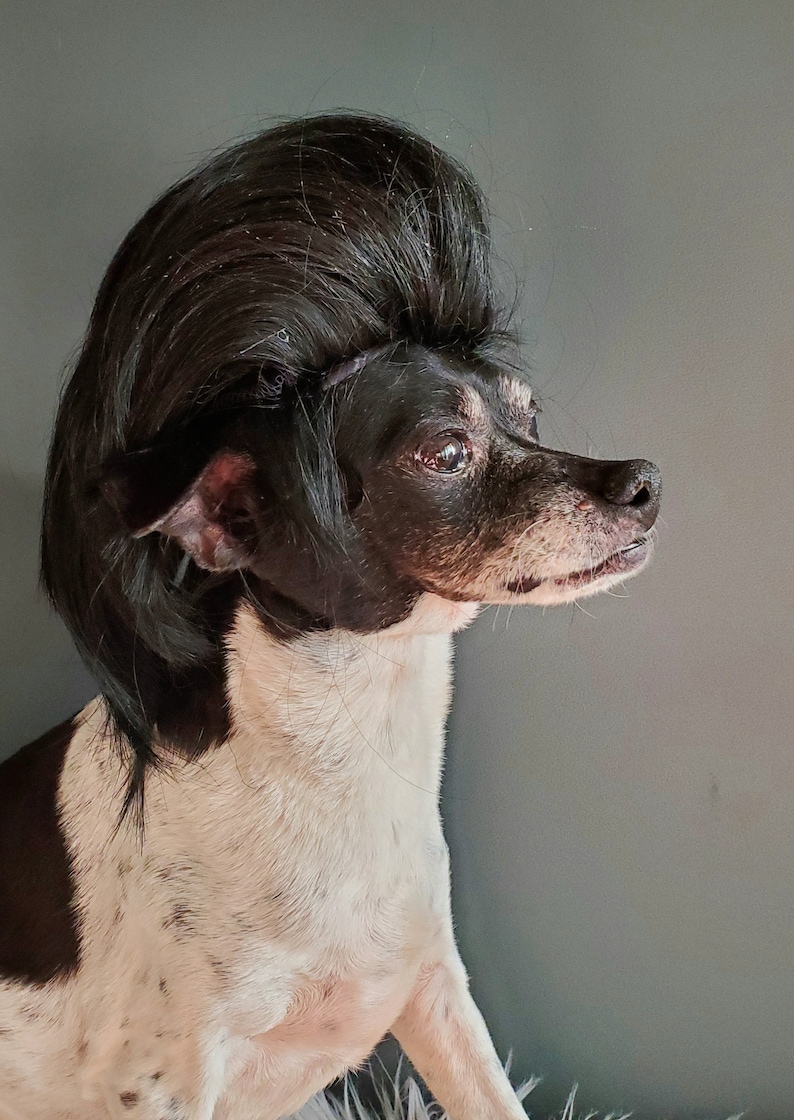 John Travolta Cute black color wig for your pet Halloween costume dog ...