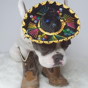 Chapeau sombrero mignon pour chien ou chat /Sombrero de chien dHalloween/ Sombrero de costume pour animaux de compagnie/ image 2