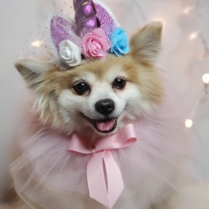 May include: A small white dog wearing a pink tulle tutu and a purple unicorn headband with flowers. The headband has a sparkly purple horn and pink, white, and blue flowers.