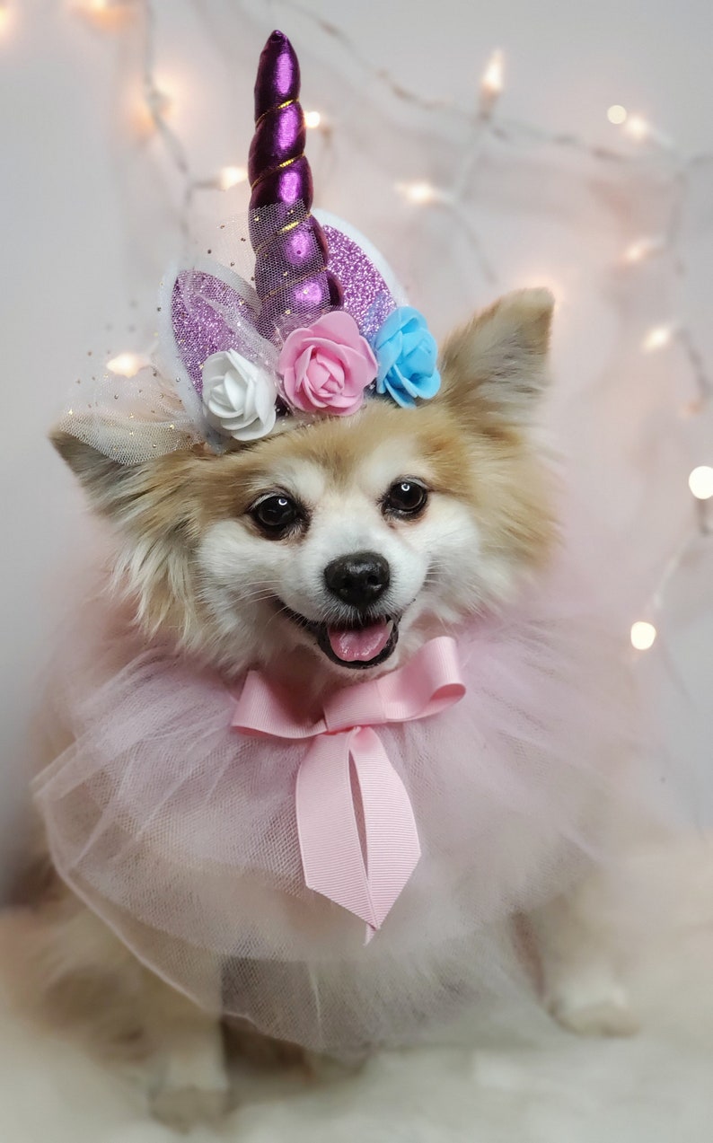 May include: A small white dog wearing a pink tulle tutu and a purple unicorn headband with flowers. The headband has a sparkly purple horn and pink, white, and blue flowers.