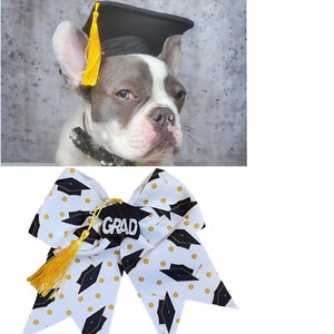 Black color Graduation pet hat /   Graduation dog hat/ Graduation  cat  hat/Small Graduation hat /