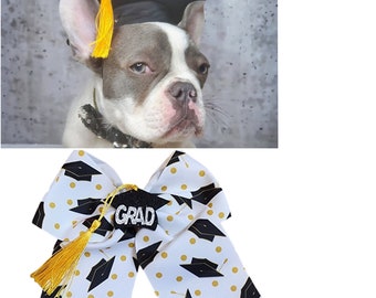 Black color Graduation pet hat /   Graduation dog hat/ Graduation  cat  hat/Small Graduation hat /