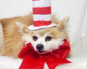 Cat in the hat /Set Listing/ /dog hat/Halloween  costume for dogs/Dog costume  / Cat costume /