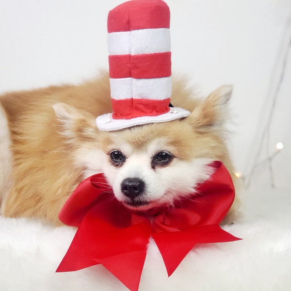 Cat in the hat /Set Listing/ /dog hat/Halloween  costume for dogs/Dog costume  / Cat costume /