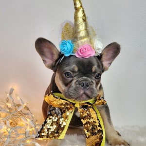 May include: A French bulldog puppy wearing a gold unicorn headband with blue, pink and white flowers and a gold sequined bow tie.