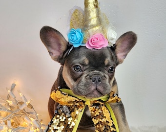 Unicorn Pet Costume: Dog/Cat Hat & Bow Tie Set, Halloween Puppy Outfit