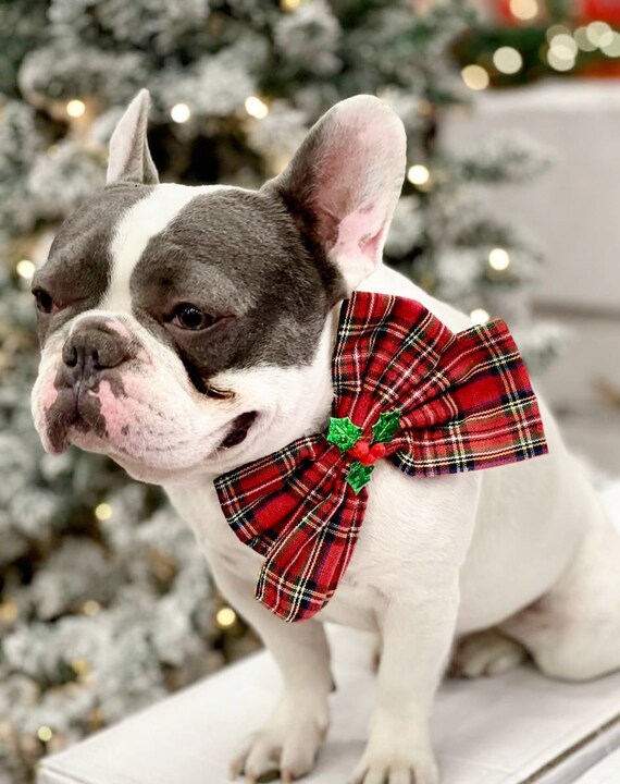 Dog christmas bow sale