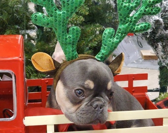 Reindeer ears headband/ Christmas  headband with red color tie for large dog  for /Christmas costume/Christmas hat/