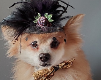 Gold  color   hat with   feather and   flower for dog or cat