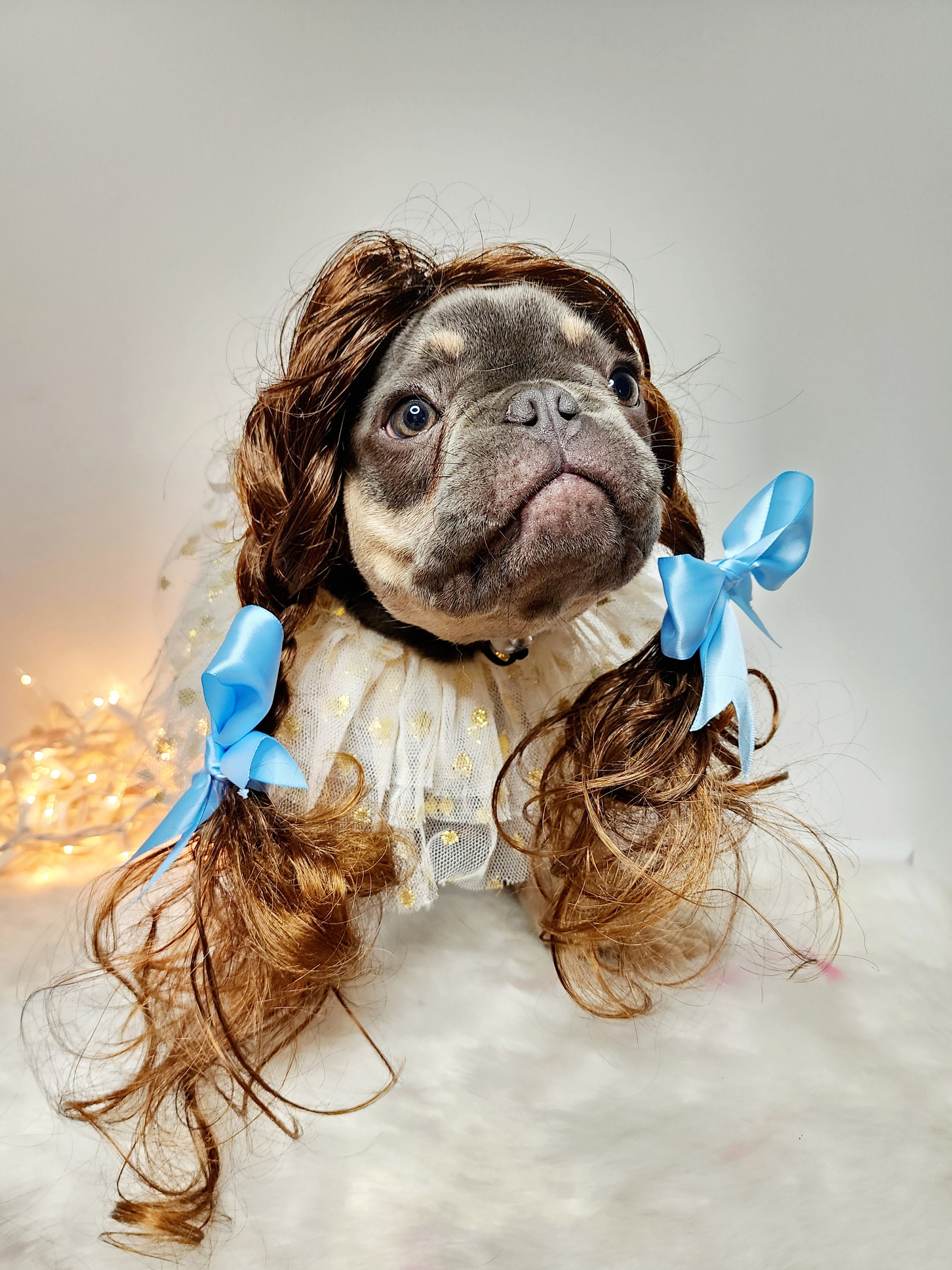 Lily犬服 Halloweenオーダー受付ページ il_fullxfull.5286099999_b150.jpg