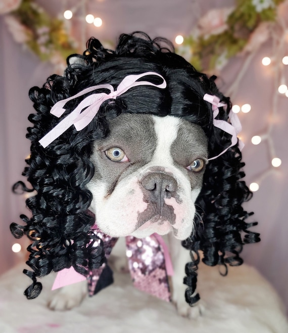 Afro wig for dogs sale