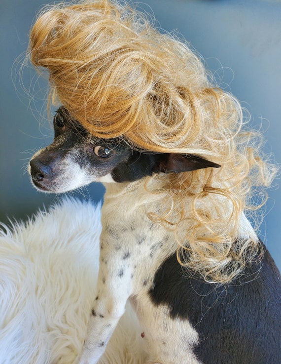 Pet Marie Antoinette blond color wig for dog or cat
