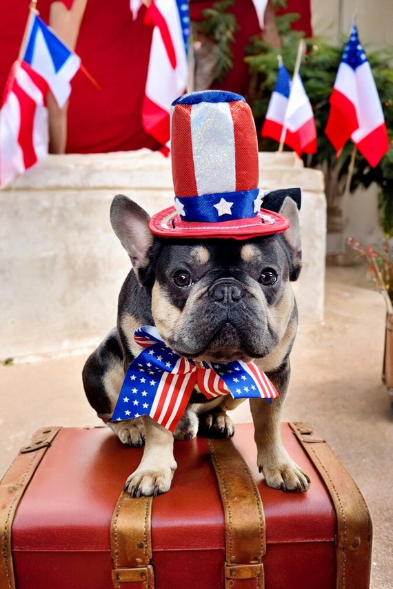 4. Juli Hunde-Outfit – Patriotischer Hut & Fliege Halsband, Verstellbar, Für Hunde & Katzen