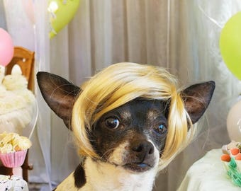 Pet   wig blond  color   for dog or cat / wig for pet /Halloween pet wig / Costume wig for dogs /Dog costume /