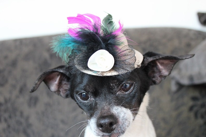 Cream color mini hat with feather and flowers for dog or cat