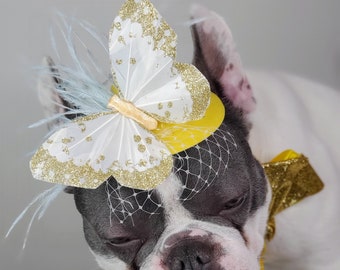 Elegant hat with   feather and   butterfly for dog or cat /Hat for small pet /Costume for dogs/